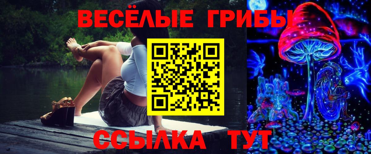Медногорск  Галлюциногенные грибы GOLDEN TEACHER  Вход с VPN 